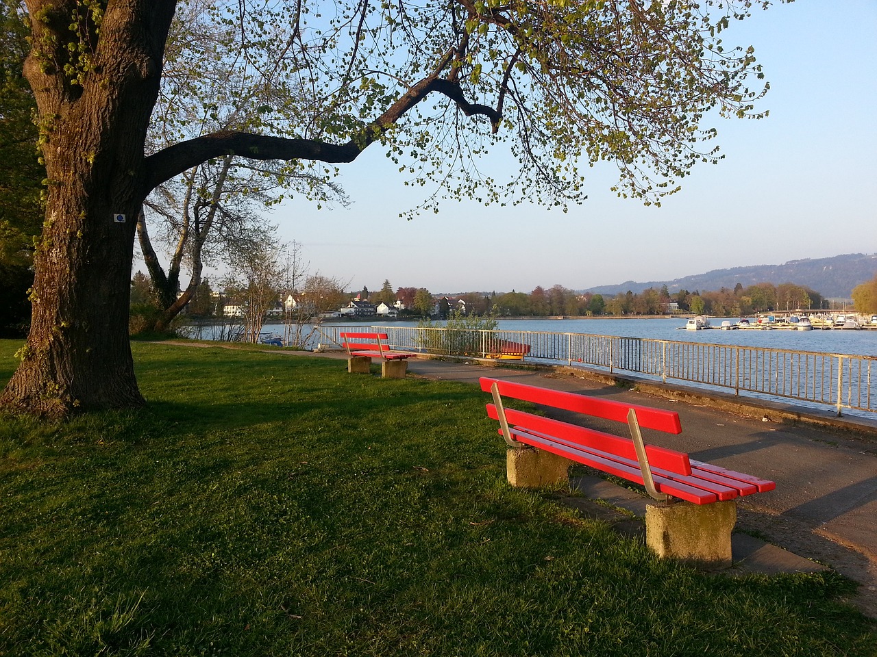 一直以来在 一直以来在