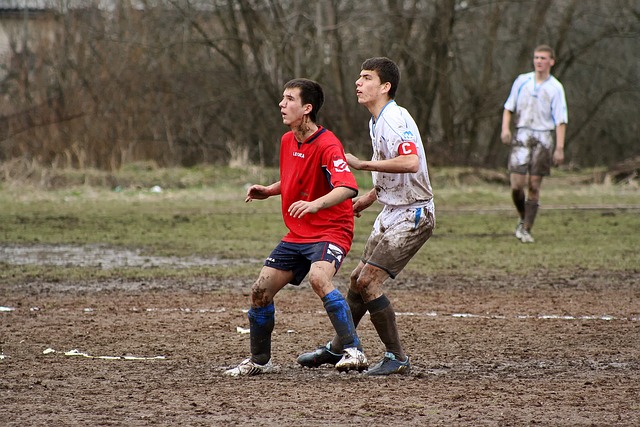 需要全面能 需要全面能