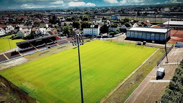 持高水准的 持高水准的