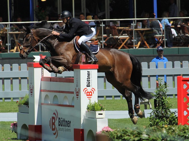 决的神秘面 决的神秘面